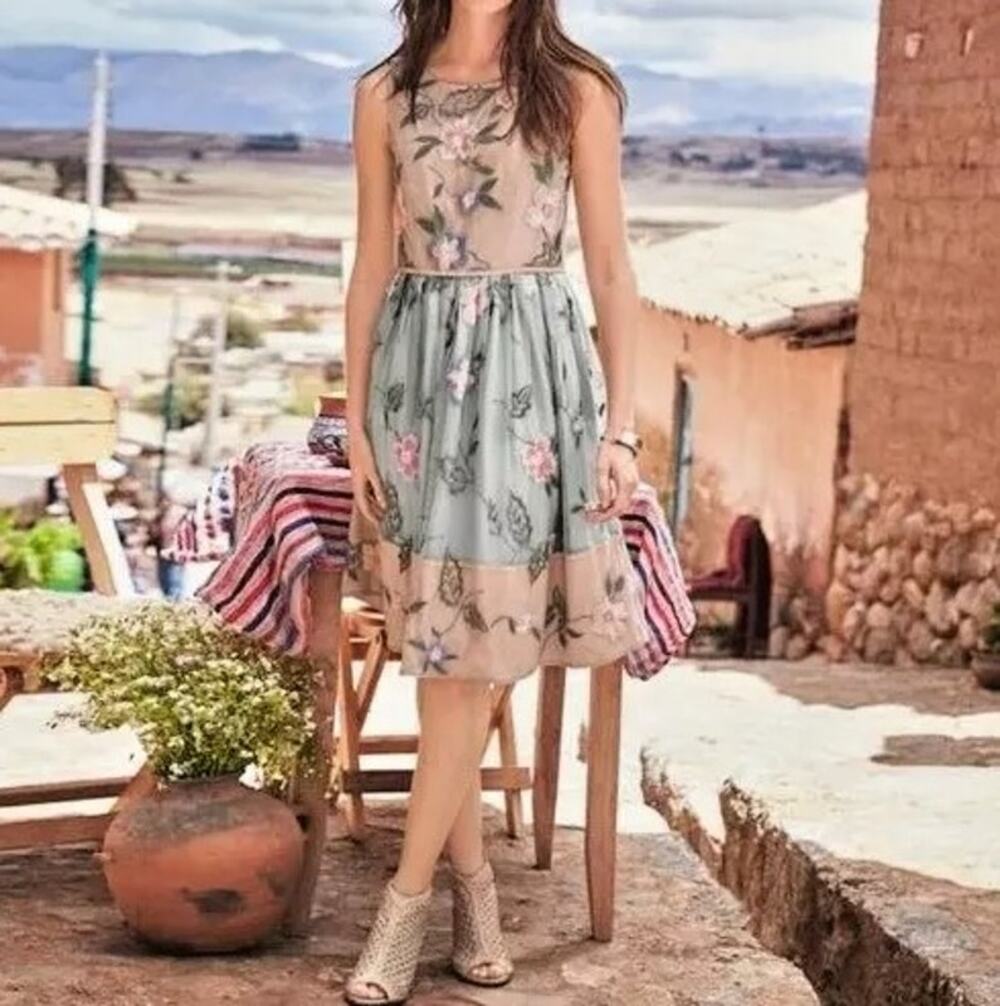 SUNDANCE Peony Floral Embroidered Mesh Dress Size 2 Fit & Flare